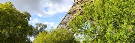 Photo of the Eiffel Tower from the gardens